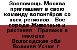 Зоопомощь.Москва приглашает в свою команду волонтёров со всех регионов - Все города Животные и растения » Пропажи и находки   . Вологодская обл.,Великий Устюг г.